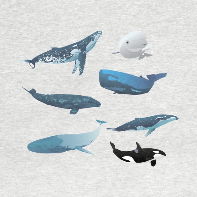 Various Whales by NorseTech